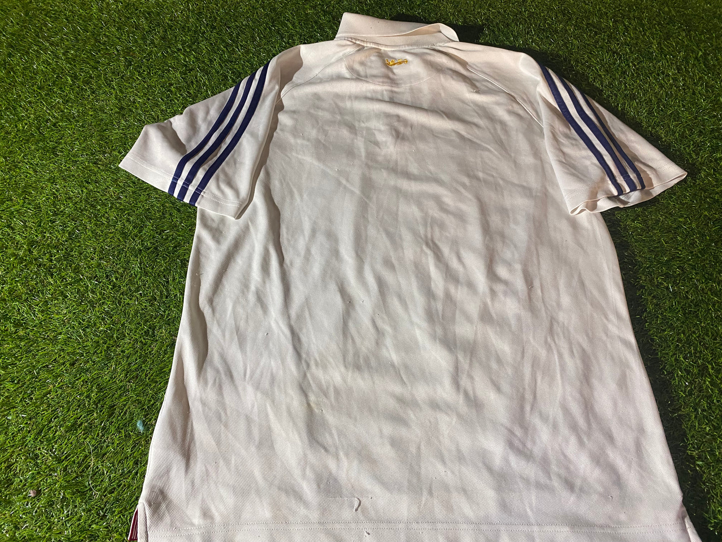 British & Irish Lions Rugby Union Football Large Mans 2005 Adidas Tour of New Zealand Polo Jersey