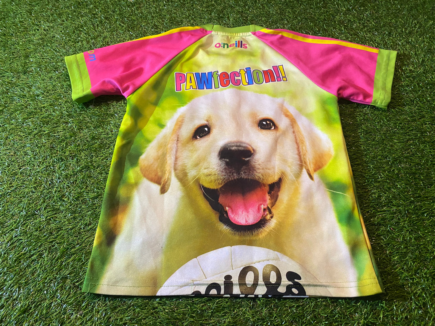 Fun Dog Puppy GAA Gaelic Football Ireland Irish Kids Small Boys / Girls 7-8 Year Old Top