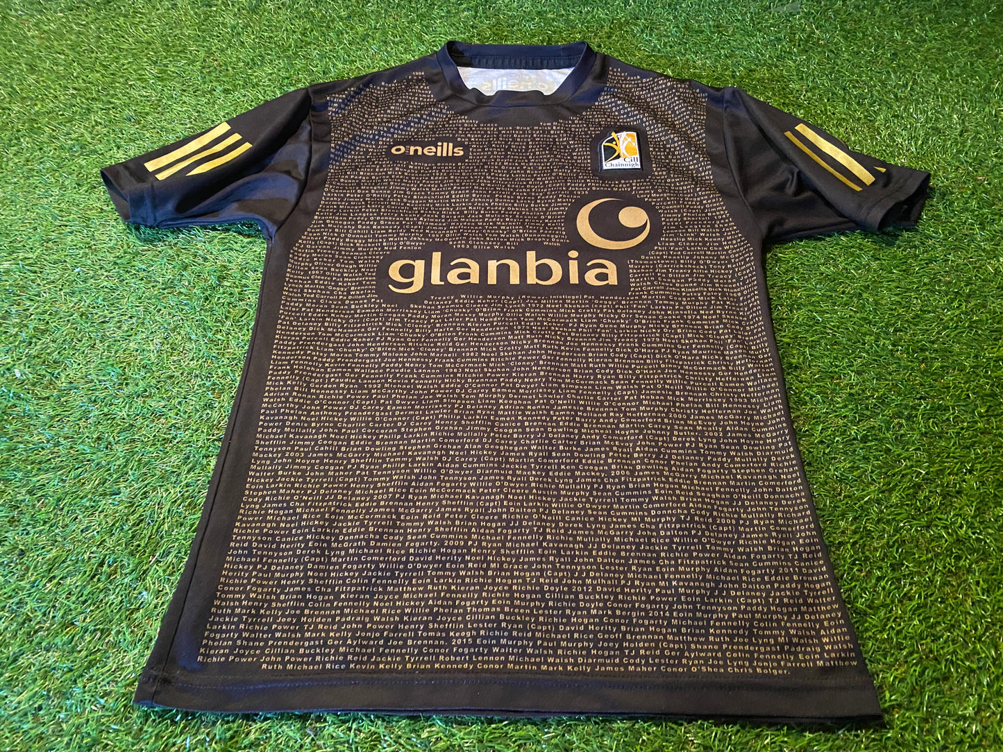 Co Kilkenny Rare GAA Gaelic Football Hurling Tight Fit Small mans Players Names Jersey