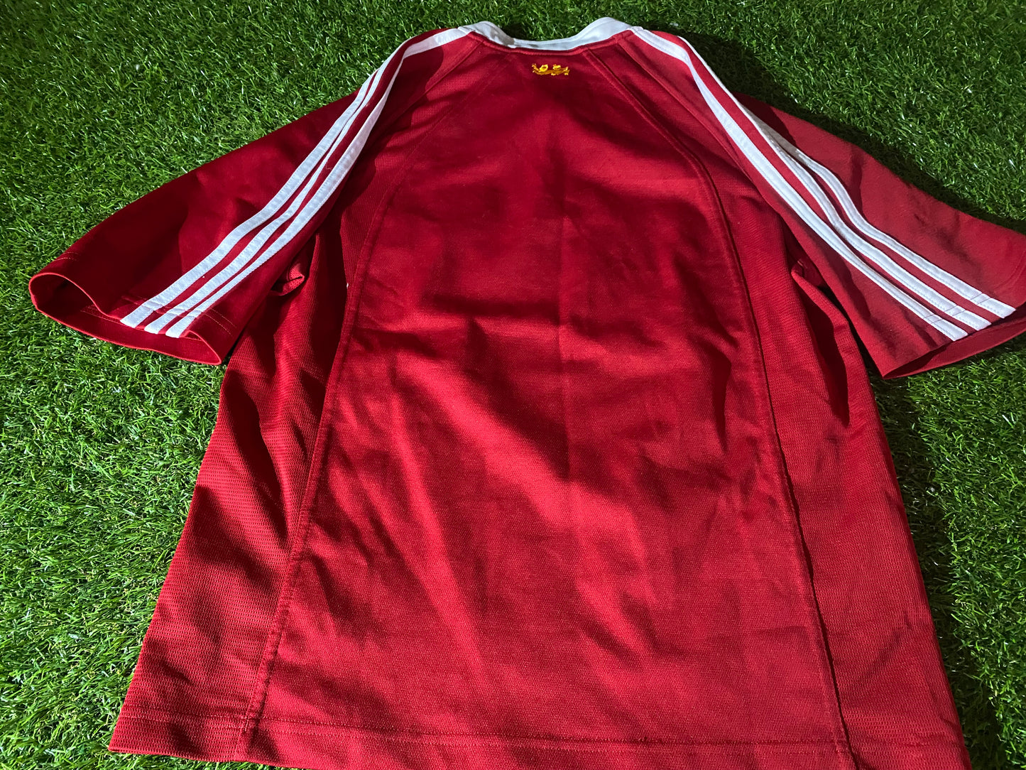 British & Irish Lions Rugby Union Football Medium Mans 2005 Adidas Tour of New Zealand Jersey