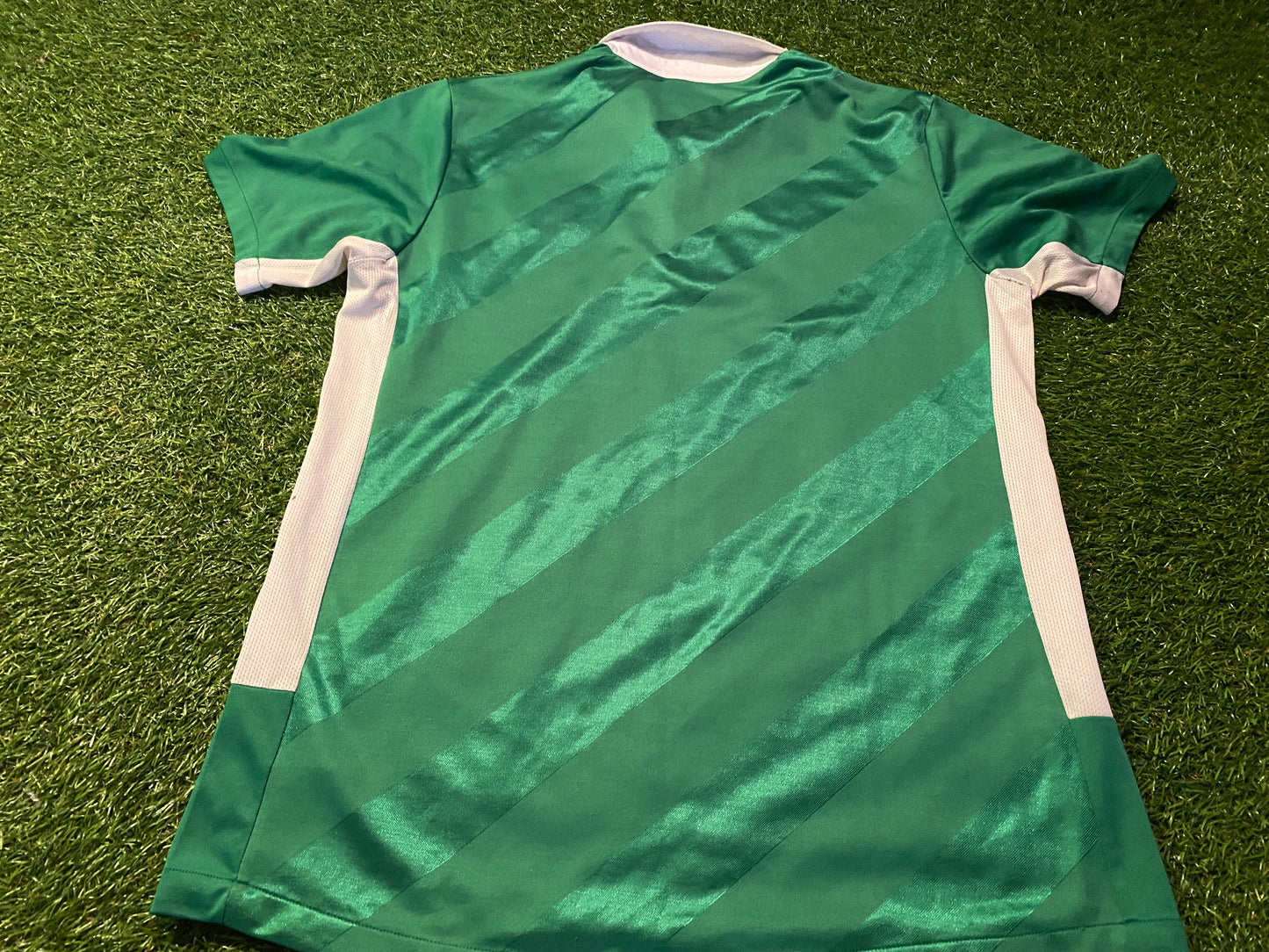 Republic of Ireland Eire Irish Football Soccer Medium Mans Rare Unsponsored Home Jersey