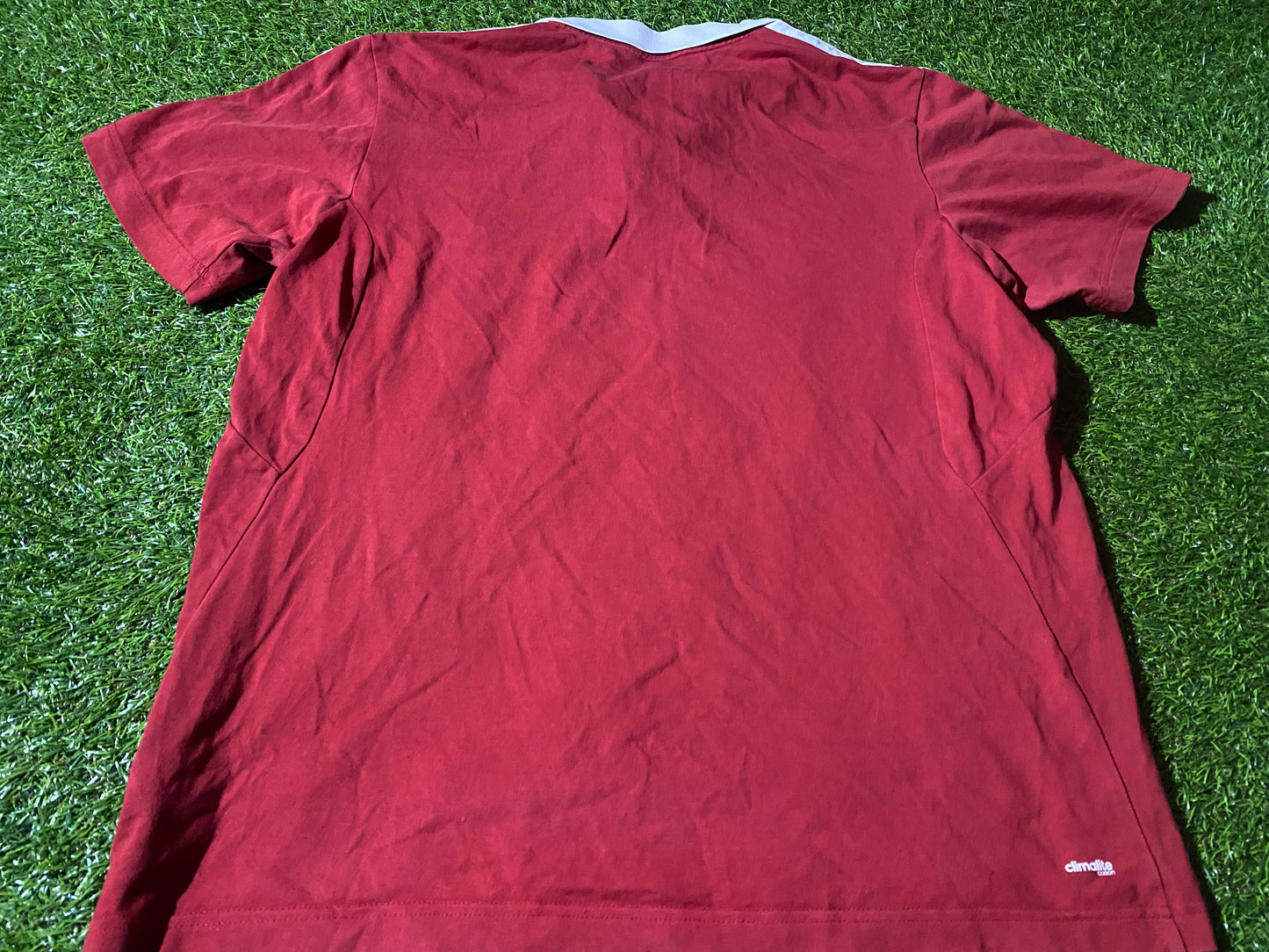 British & Irish Lions Rugby Union Football Large Mans 2013 Lighter Cotton Made Jersey