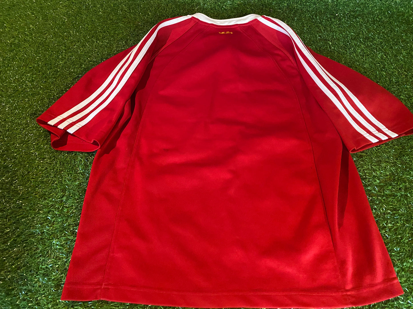 British & Irish Lions Rugby Union Football Medium Mans 2005 Adidas Tour of New Zealand Jersey