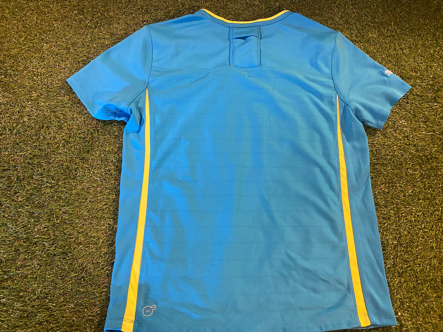 Ireland Eire Irish Rugby Union Large Mans Tight Fit Player Issued Puma Training Jersey