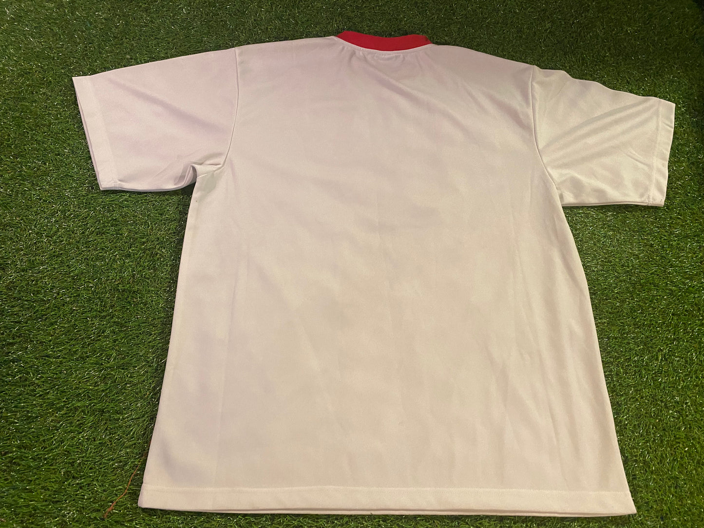 St. George Illawarra Dragons Australia NRL Rugby League Large Mans Vintage Jersey