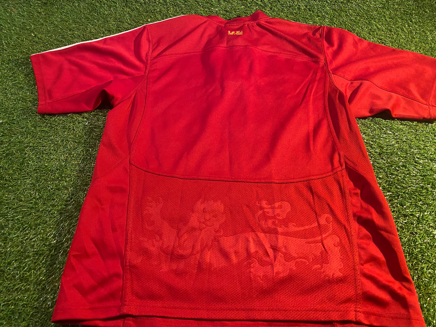 British & Irish Lions Rugby Union Football Large Mans 2009 Adidas Tour of South Africa Jersey