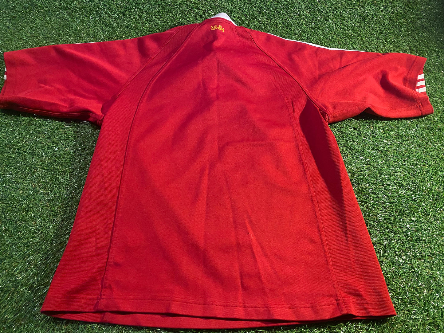 British & Irish Lions Rugby Union Football Medium Mans 2005 Adidas Tour of New Zealand Jersey