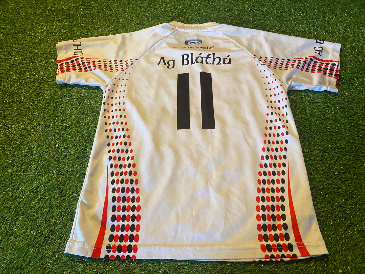 Co Down An Dun Eire GAA Hurling Gaelic Football Large Boys 10-11 Year Old no11 Jersey