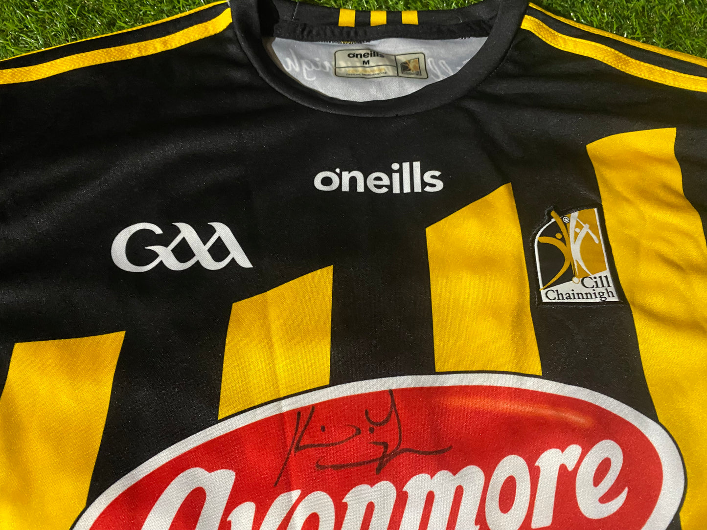 Co Kilkenny Ireland GAA Gaelic Football Hurling Medium Mans NEW Signed x 1 Jersey