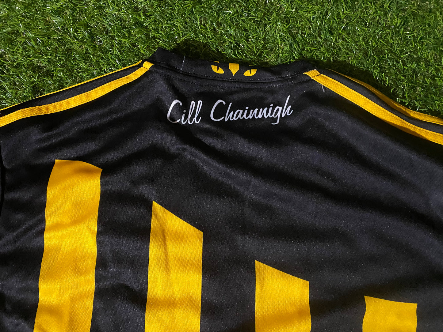 Co Kilkenny Ireland GAA Gaelic Football Hurling Medium Mans NEW Signed x 1 Jersey