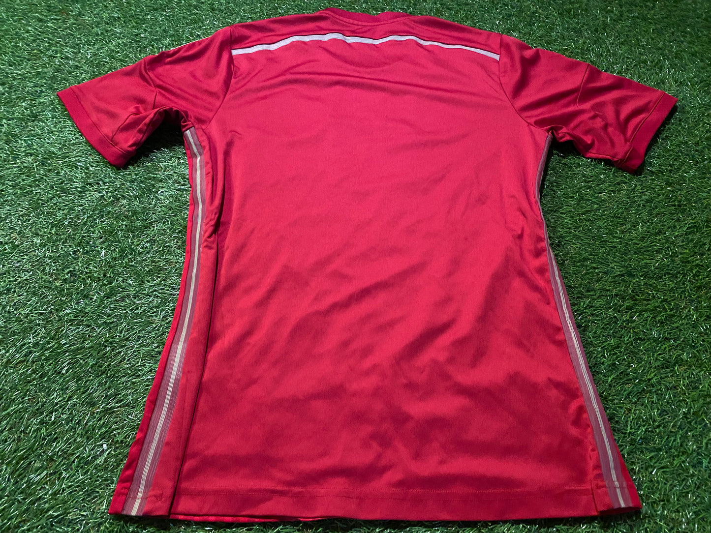 Spain Espana Spanish Soccer Football Small Mans Adidas World Champions 2010 Home Jersey