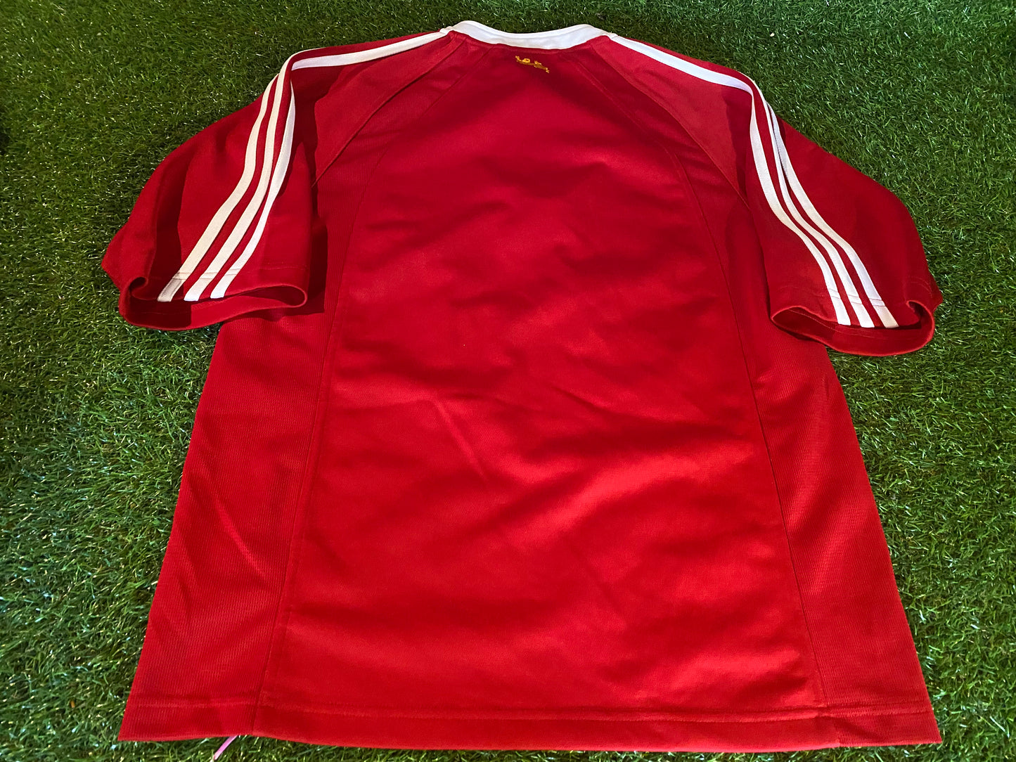 British & Irish Lions Rugby Union Football Small Mans 2005 Adidas Tour of New Zealand Jersey