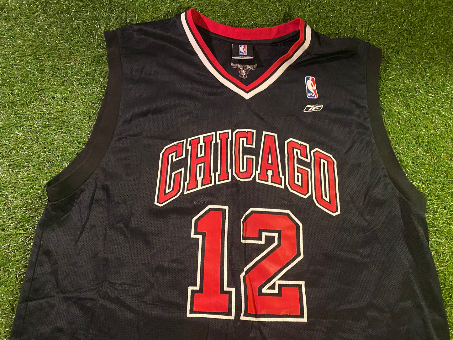 Chicago Bulls NBA USA United States of America Basketball XL Extra large Hinrich no12 Jersey