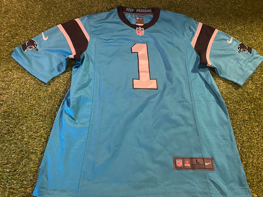 Carolina Panthers NFL American Football USA Large to Extra Large Mans Newton no1 Jersey